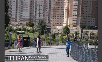 دریاچه شهدای خلیج فارس‎ 24