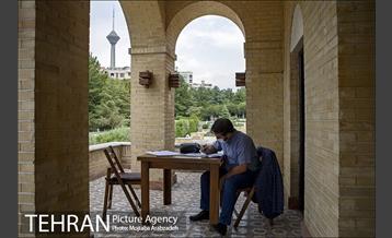 عکس های منتخب آژانس عکس تهران در تیر ماه- 2 20