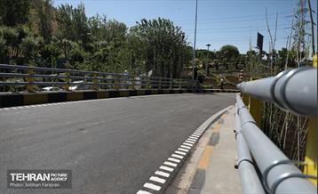 صدوبیست و دومین پویش امید و افتخار 39