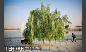 شهرنگار؛ باغ هنر 12