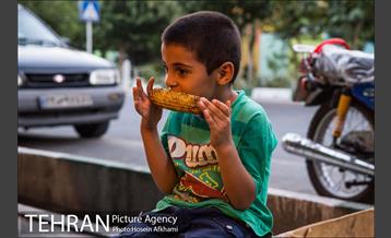 شیر بلال تابستان 6