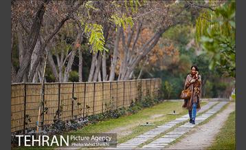 باغ راه فدک 5