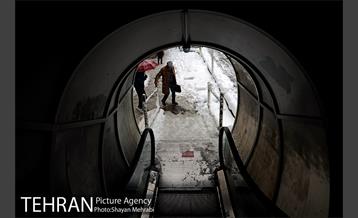 بارش برف در تجریش 13