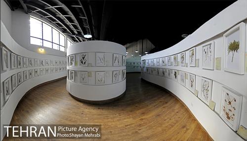 موزه گیاه شناسی دارآباد 28