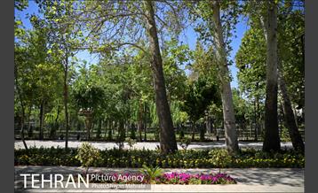 گذر پیاده راه استاد شهریار 14