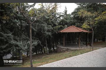 طبیعت پاییزی باغ راه فدک تهران 6