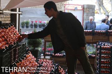 نخستین جشنواره خرمالو در روستای کشار سفلی 12