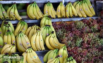 تور بازدید از میادین و بازارهای میوه و تره‌بار شهرداری تهران 38
