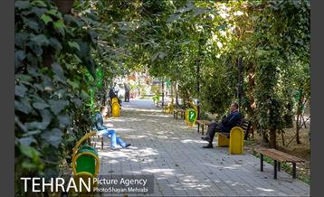 بوستان هورفر 23