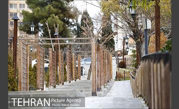 باغ راه فدک 27