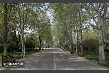 بوستان بانوان نرگس 38