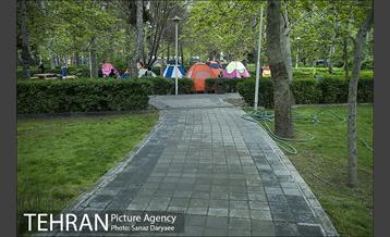 روز طبیعت بارانی در بوستان لاله 17