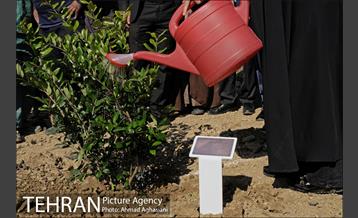 روز درختکاری در بوستان تبسم 7