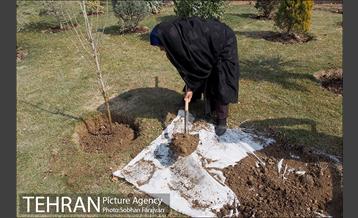 کاشت نهال در بوستان ولایت  41