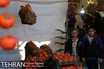 نخستین جشنواره خرمالو در روستای کشار سفلی 10