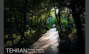 بوستان باغ ایرانی 38