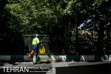 آماده سازی دانشگاه تهران برای نماز جمعه 12