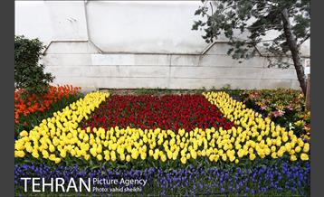 هفتمین سالگرد رویداد جذاب و دیدنی "پیاده راه لاله برای مادران" 22
