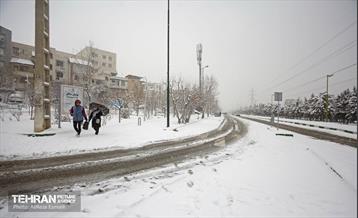 روز برفی پایتخت 4