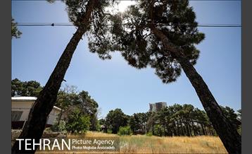 از پادگان 06 تا بوستان بزرگ ارتش 6