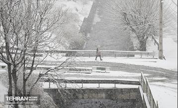 بارش اولین برف زمستانی در تهران 18