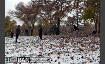 بارش برف پاییزی در تهران 29