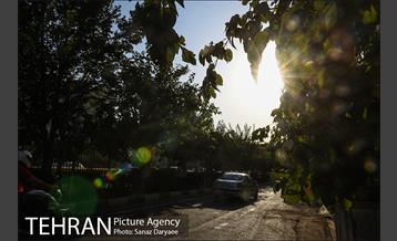 پل سید خندان 19