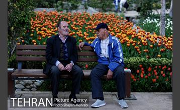 رویش گل های لاله در باغ ایرانی 55