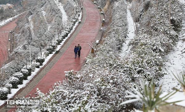 تهران برفی 5