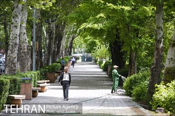 بوستان نیاوران 2