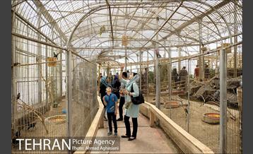 افتتاح اولین "باغچه خبر" در تهران 34