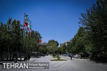 مراحل آماده سازی گذر پیاده راه استاد شهریار 11