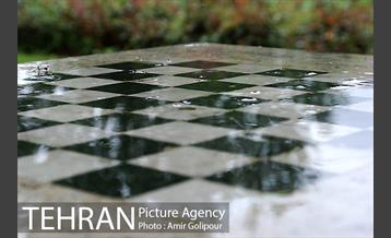 تهران بهاری 13