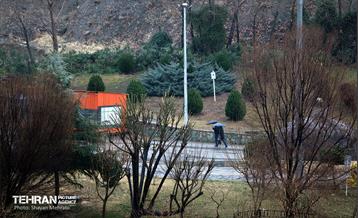 بارش باران زمستانی در تهران 34