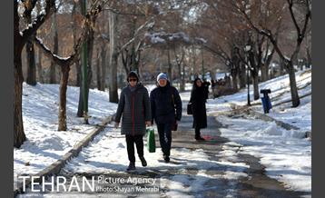 فصل زمستان در بوستان ملت 47