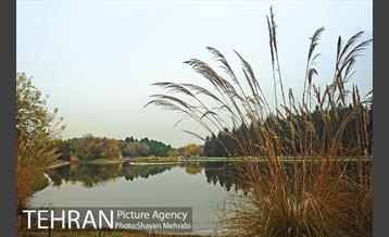 باغ گیاه‌شناسی ملی ایران 12