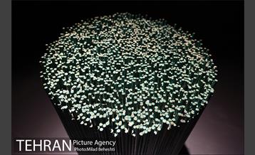 نمایشگاه مجسمه های مهدی شیراحمدی 11