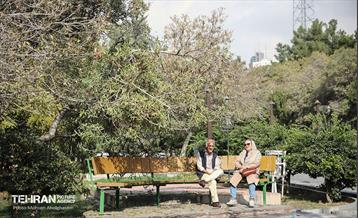 طبیعت پاییزی باغ راه فدک تهران 36