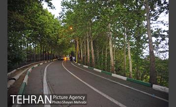 پارک جنگلی لویزان‎ 45