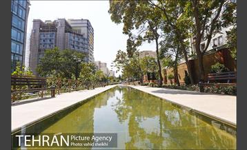 بوستان پدر 25