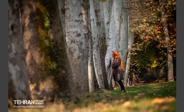 آخرین روزهای پاییزی  2