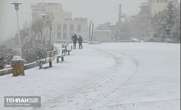 بارش برف زمستانی در منطقه ۲ 6