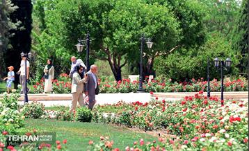 طبیعت بهاری در باغ ملی گیاهشناسی ایران 26