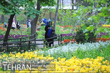 باغ ایراتی (بوستان مهندس مختاری) 12