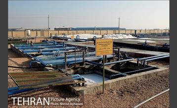 مجتمع پردازش و بازیافت زباله آراد کوه کهریزک  8