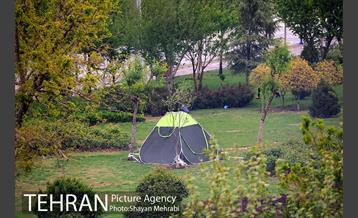 روز طبیعت بارانی در بوستان ولایت 11