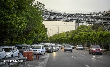 بی قانونی؛ تخلف جناغی 14