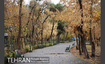 پاییز در پارک شهر 14