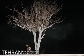 نمایش خسیس‎ 7