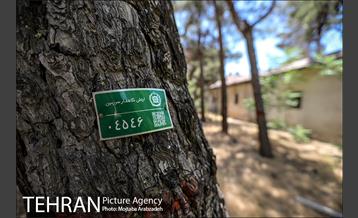 از پادگان 06 تا بوستان بزرگ ارتش 25